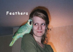 Feathers